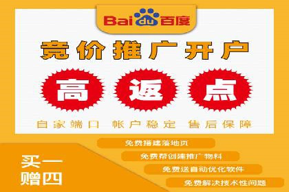 案例解析：SEM投放助力电商增长